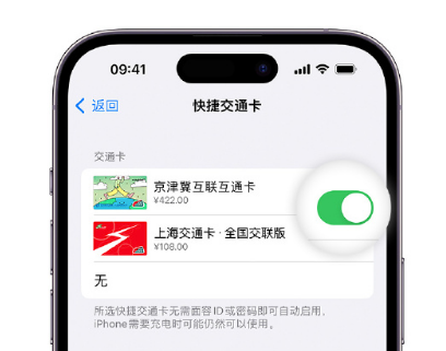 永和apple维修点分享iPhone上更换Apple Pay快捷交通卡手绘卡面 