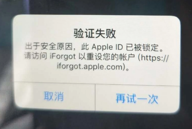 永和iPhone维修分享iPhone上正常登录或使用AppleID怎么办 