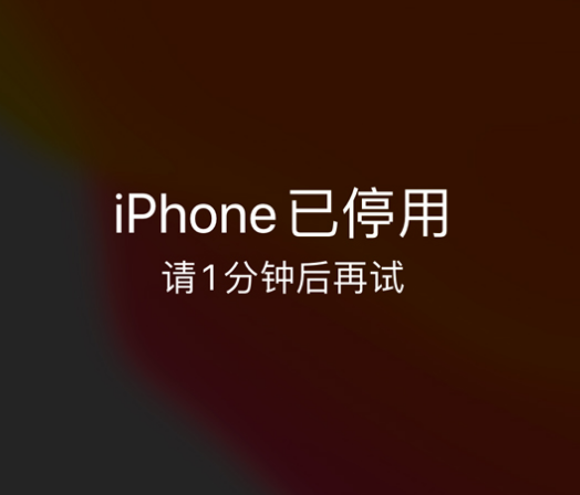 永和苹果手机维修分享:iPhone 显示“不可用”或“已停用”怎么办？还能保留数据吗？ 