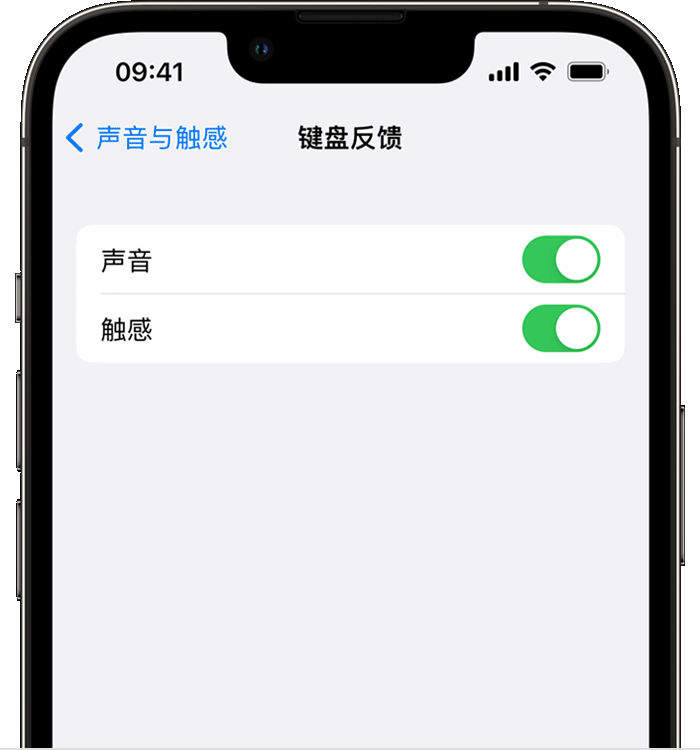 永和苹果14维修店分享如何在 iPhone 14 机型中使用触感键盘 