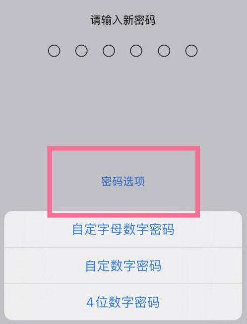 永和苹果14维修分享iPhone 14plus设置密码的方法 