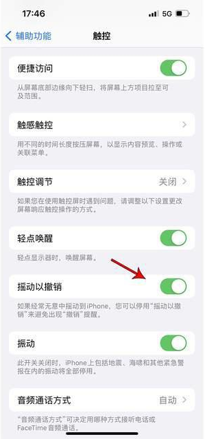 永和苹果手机维修分享iPhone手机如何设置摇一摇删除文字 