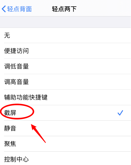 永和苹果手机维修分享iPhone12如何启用双击截屏 