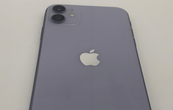 永和苹果11系统维修分享iPhone11手机系统崩溃无法开机如何解决 