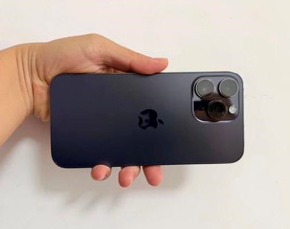 永和苹果维修点分享iPhone 14 Pro Max发烫多重诱因剖析 